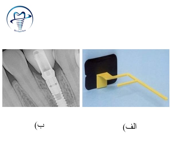 بایت وینگ