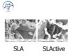 آماده سازی سطح ایمپلنت به روش SLActive